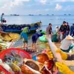 Đi Phước Hải cùng bạn bè có gì vui?