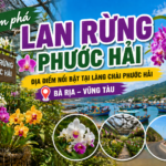 Lan rừng phước hải