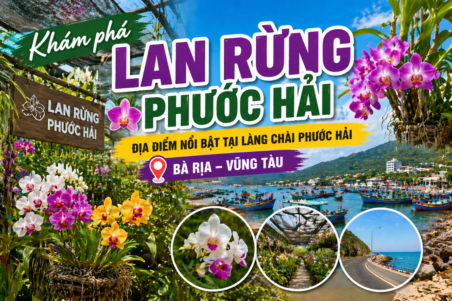 Khám phá lan rừng phước hải – địa điểm nổi bật tại làng chài Phước Hải, Bà Rịa – Vũng Tàu.